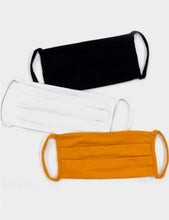 Load image into Gallery viewer, PRE ORDER Solid Pleated Fashion Mask

